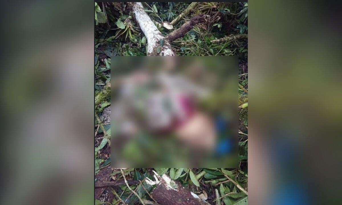 Tragedia en Telpaneca: joven muere al caerle un árbol