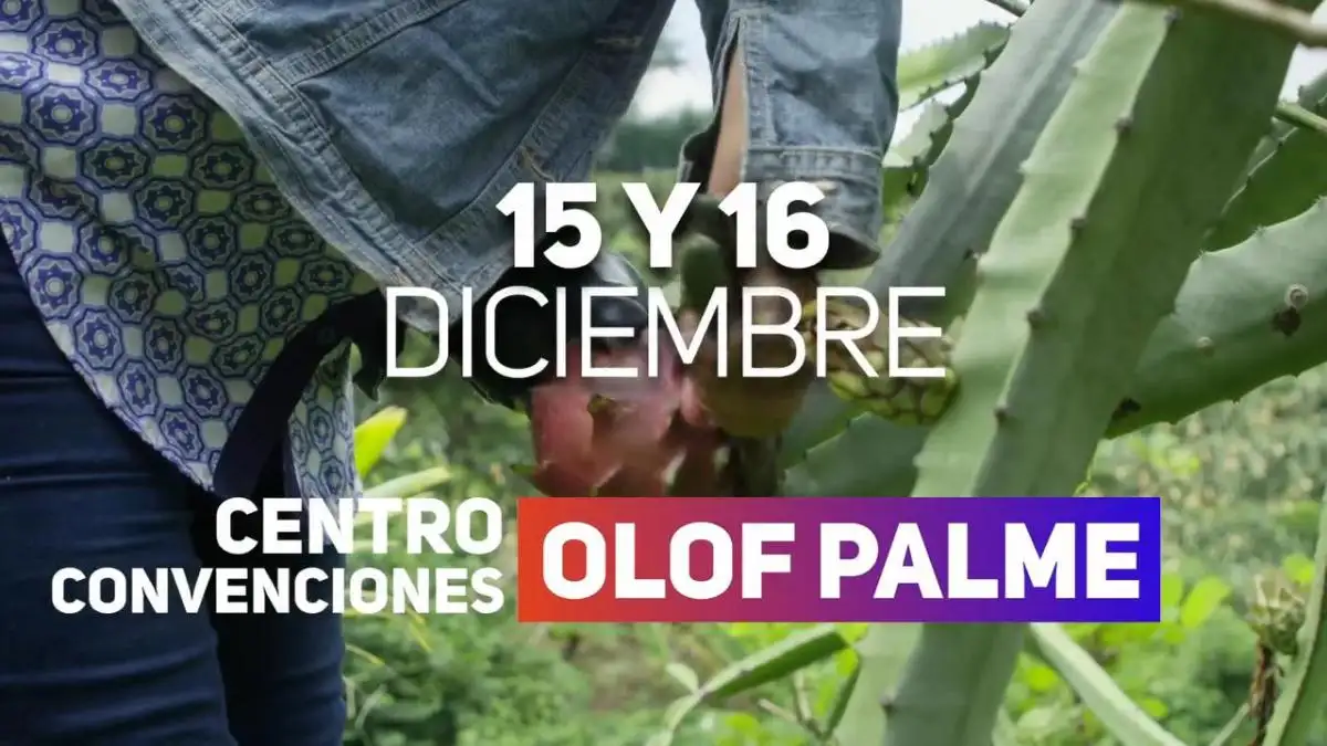 Nicaragua Exporta 2025 impulsa hacia nuevos mercados