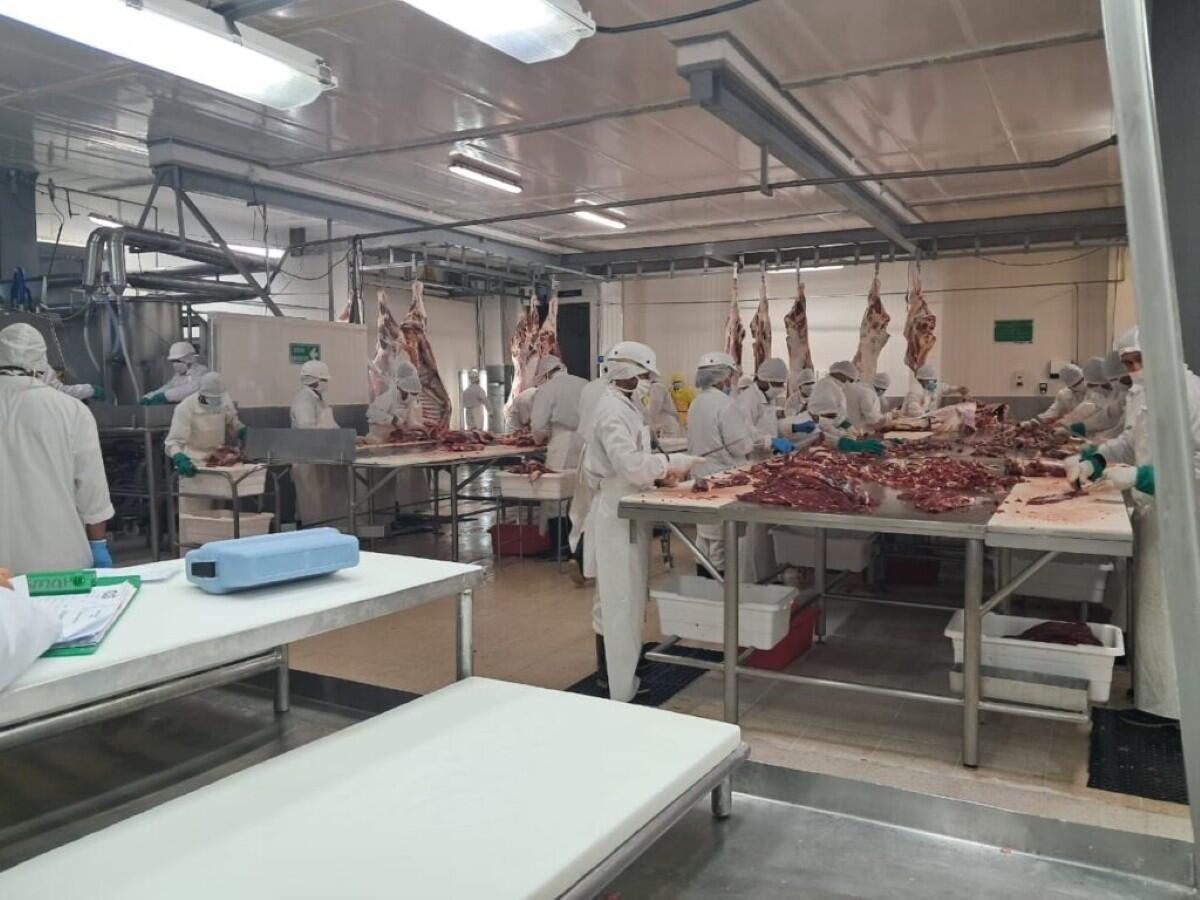 Producción récord de carne bovina impulsa la economía nicaragüense
