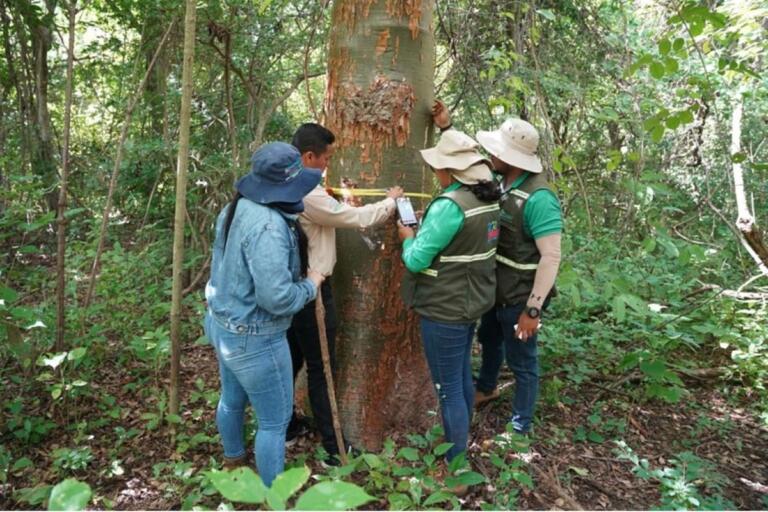 MARENA completa muestreo forestal para actualizar el inventario de todo el país