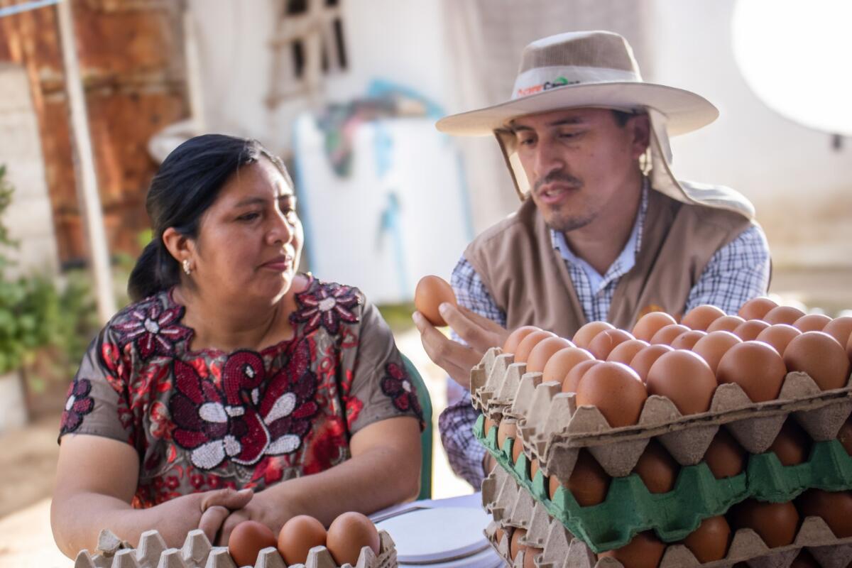 Cargill destaca en Fortune 2025 por innovar en sostenibilidad