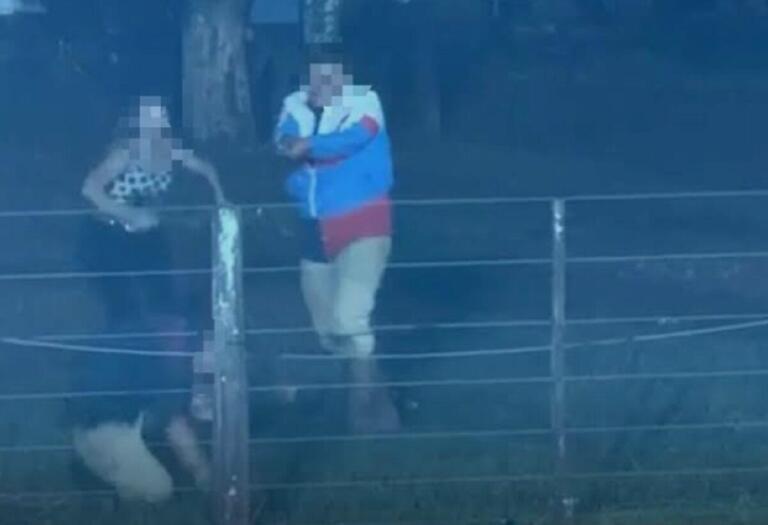 Hombre mata al novio de su expareja en pleno rodeo, en Brasil