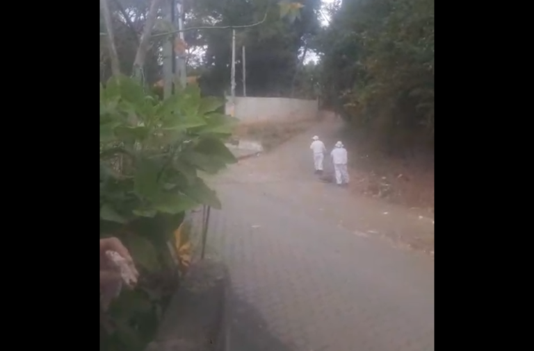 Abejas africanizadas le quitan la vida a tomador conocido como «bola de fuego» en Nindirí, Masaya