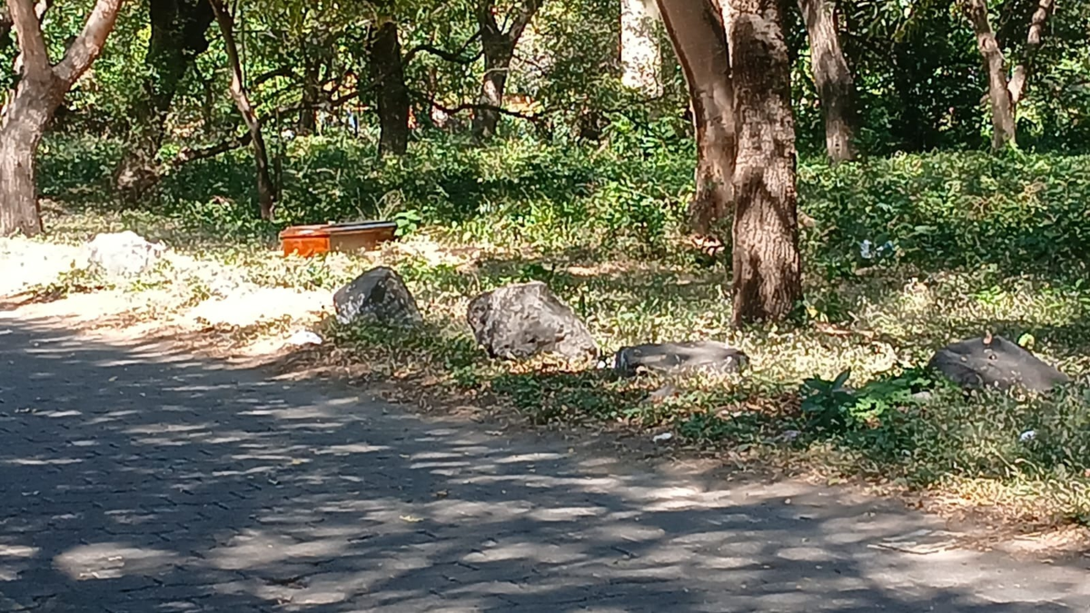 Conmoción en Granada por la trágica muerte de Kevin Montiel