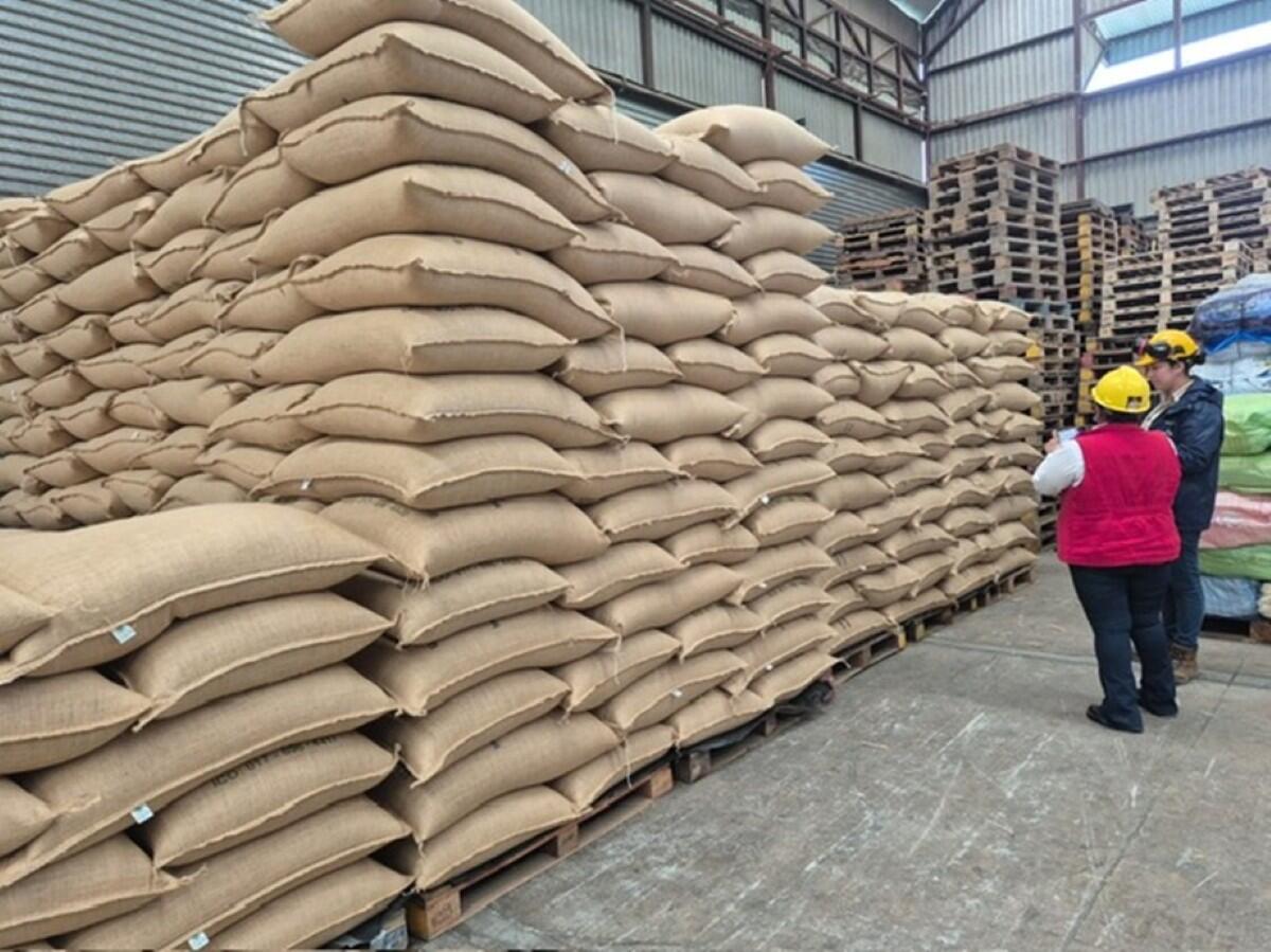 Café nicaragüense crece 2,47% con respuesta rápida del IPSA