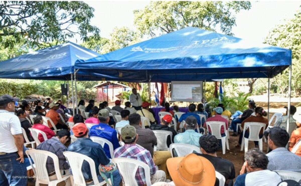 IPSA refuerza sanidad ganadera en Nicaragua