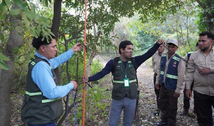 Taller sobre monitoreo de murciélagos en Nicaragua