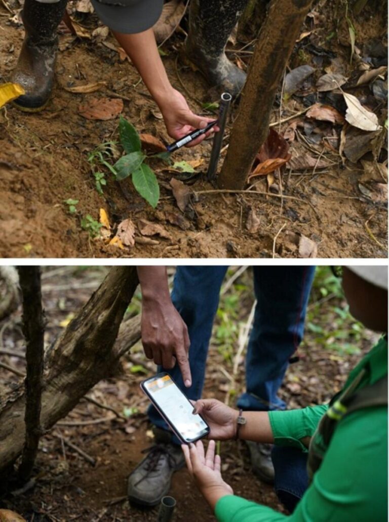 Nicaragua inicia III Ciclo del Inventario Nacional Forestal 2026