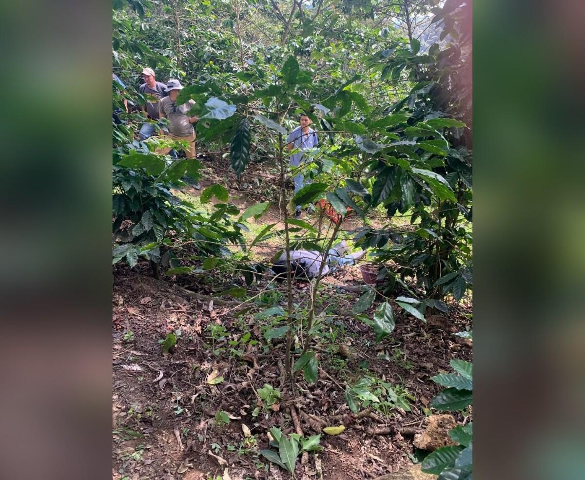 Jornalero muere por caída de rama en San Juan del Río Coco