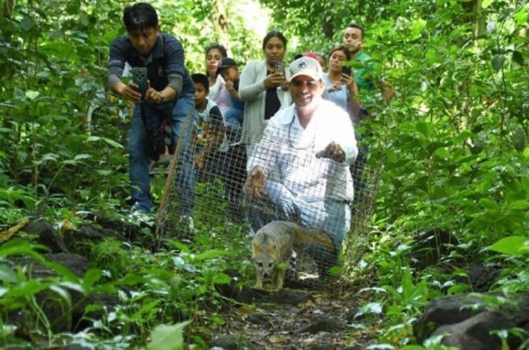 MARENA rehabilita más de 1,500 animales silvestres en Centro Nacional de Rescate