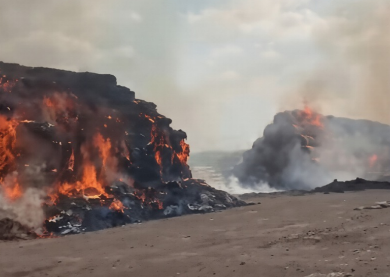 Incendio repentino arrasa con 500 pacas de forraje de caña en Sukarne, en carretera Vieja a León
