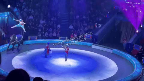 Acróbata sufre graves lesiones al sufrir terrible accidente en pleno show