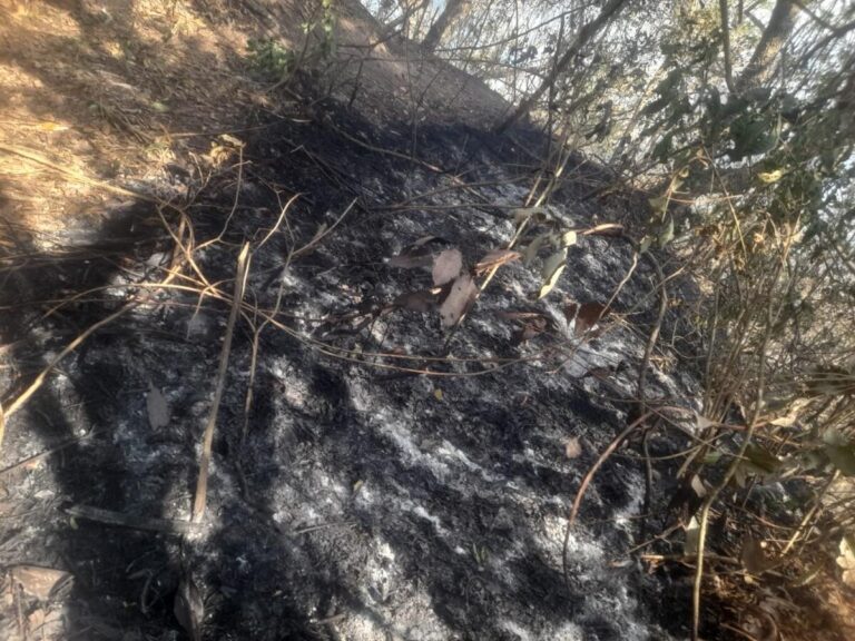 Bomberos Unidos batallan contra incendio forestal en laderas de la Laguna de Apoyo