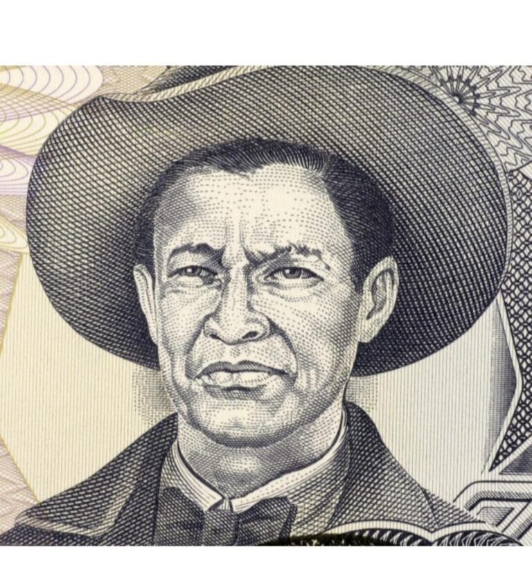 Sandino: un socialismo híbrido