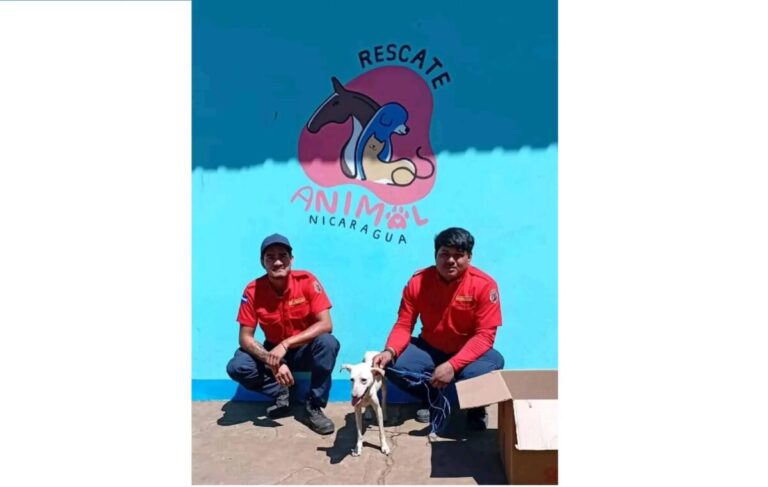 Bomberos de Carazo rescatan a perrito amarrado y abandonado por sus dueños