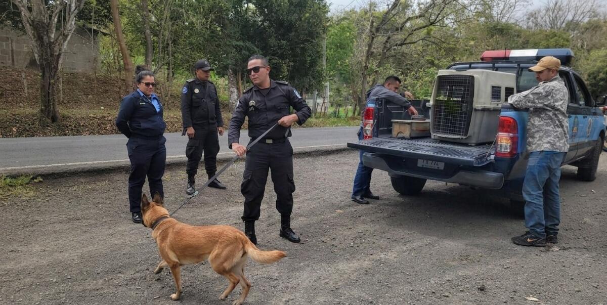 Niño Jeffrin encontrado tras búsqueda con dron