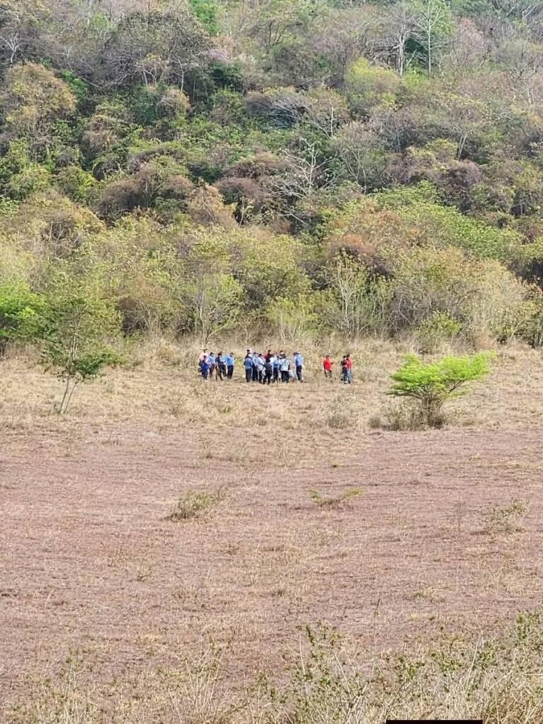 En Masaya, hombre muere atacado por enjambre de abejas africanizadas cuando andaba garrobeando