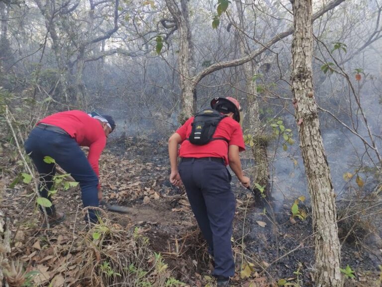 Intensifican esfuerzos para apagar incendio en Reserva Apante