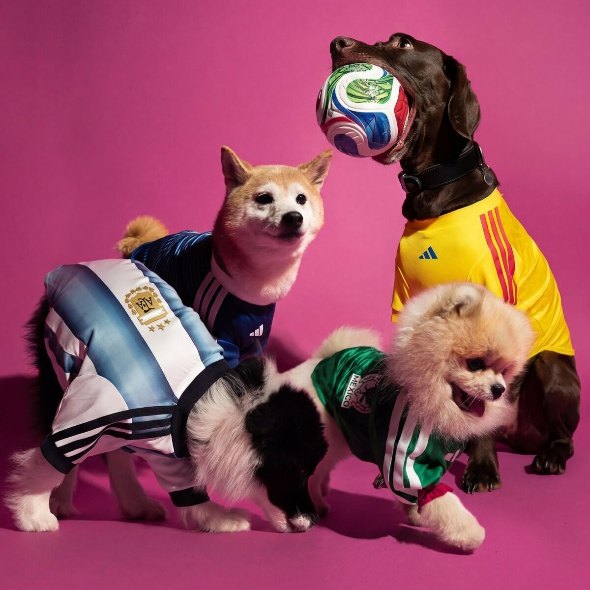 Adidas perros Mundial 2026: Camisetas a $45, 1 mayo