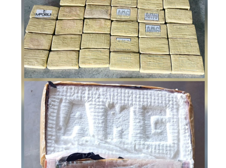 Decomisan 30 tacos de cocaína que iban a ser envidados de Costa Rica a España en mariscos congelados