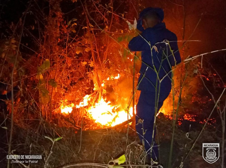 Ejército de Nicaragua sofoca incendio de 14 manzanas de bosque y maleza en la Isla de Ometepe