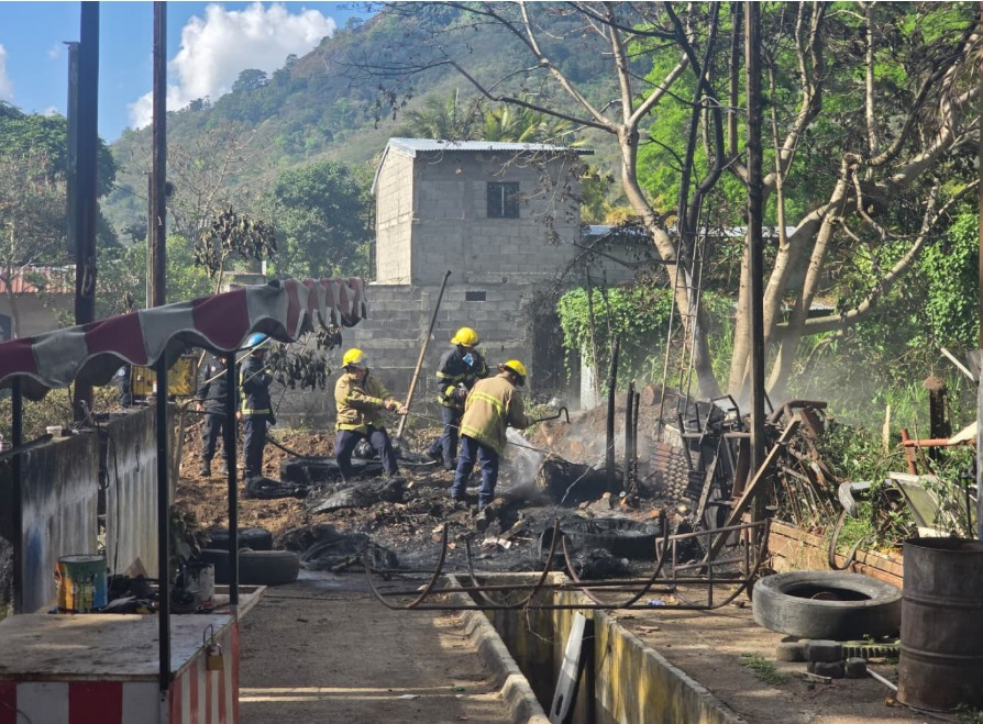 Jinotega: Tragedia de Fuego y Abejas: 3 Perros Muertos