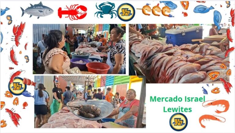 Mariscos y verduras frescas se ofertan con buenos precios en el mercado Israel Lewites