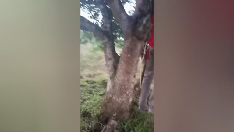 Supuestos problemas pasionales llevan a hombre a quitarse la vida en El Tortuguero