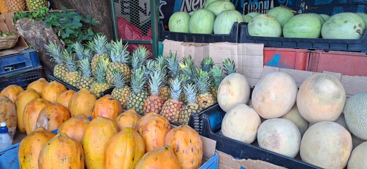 Variedad de frutas frescas: piñas, papayas, melones, sandías en mercado Israel Lewites