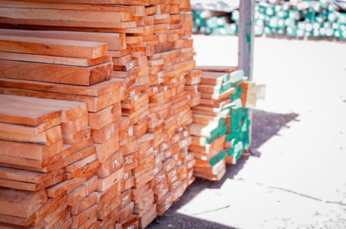 Nicaragua: Sector forestal genera $430 mil en marzo