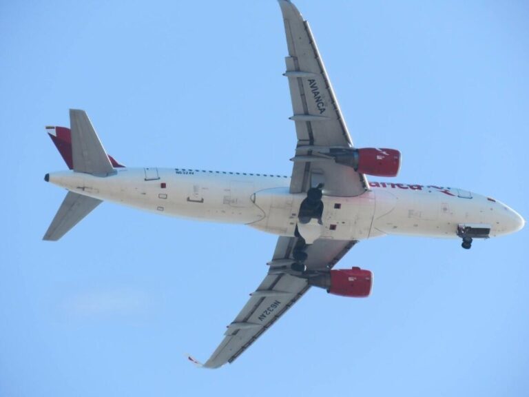 ¡Paren Todo! «Firulais» pone a dar vueltas a un avión Airbus sobre el Lago de Managua