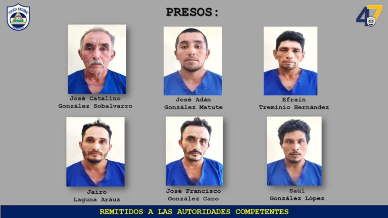 Policía incauta más de 6 mil plantas de marihuana y 3 armas de fuego en Jinotega