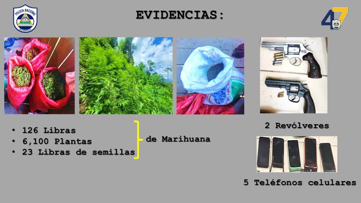 Evidencias de drogas y armas decomisadas