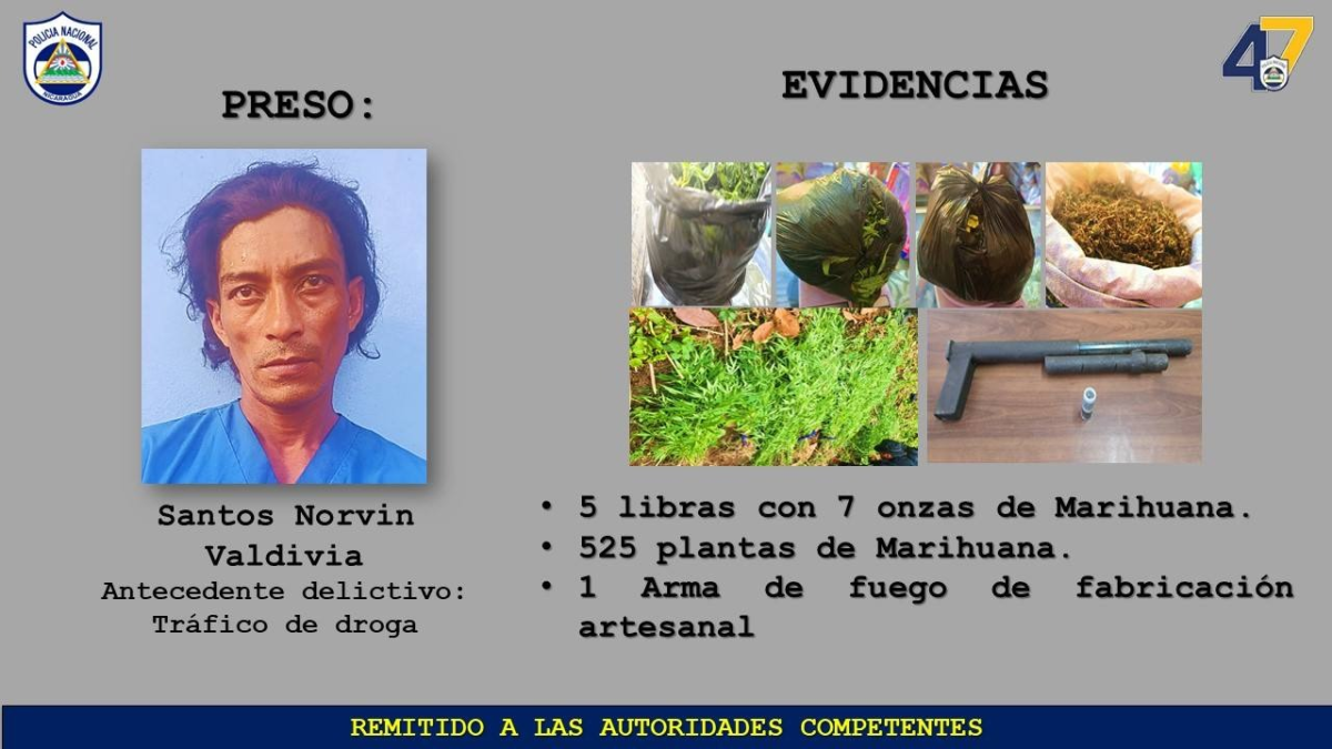 Detención por posesión de drogas y arma artesanal.