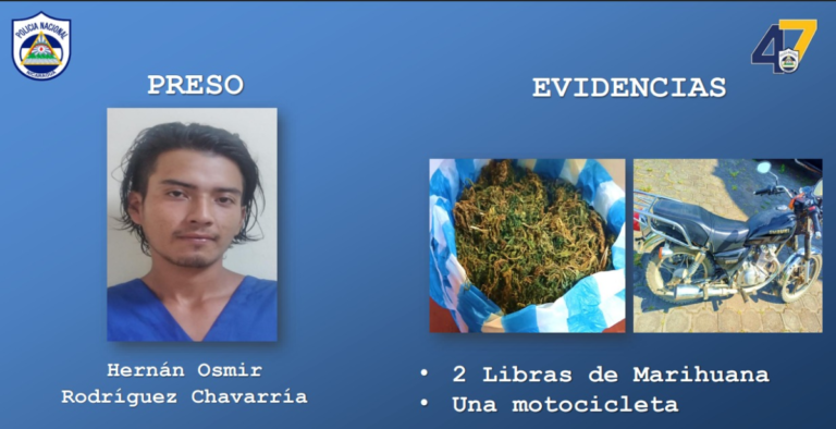 Incautan 2 libras de marihuana en el municipio de Siuna