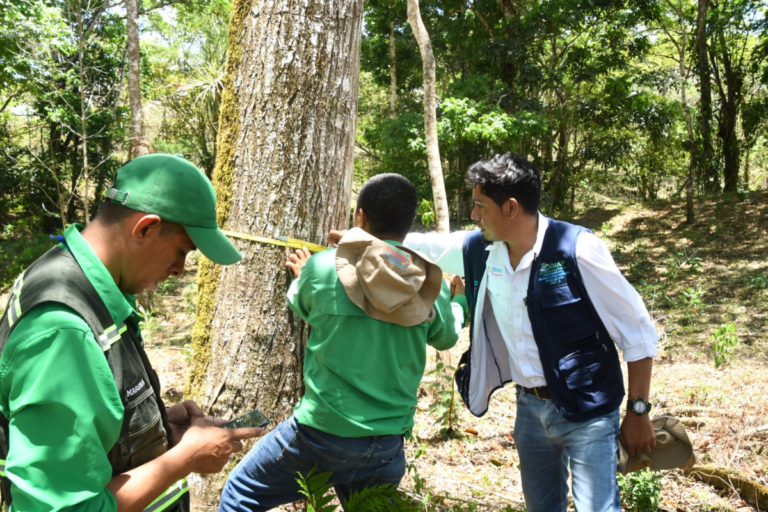 MARENA impulsa estudio científico para fortalecer gestión sostenible de los bosques