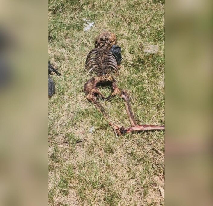 Policía El Jícaro: Hallan osamenta de Pedro Gómez