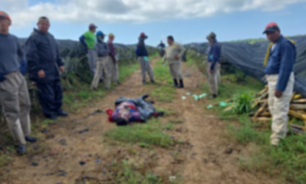 Honduras: Rayo mata a trabajador agrícola durante tormenta en Atlántida