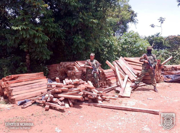 Ejército de Nicaragua incauta más de 6 mil pies tablares de madera ilegal en Muelle de los Bueyes