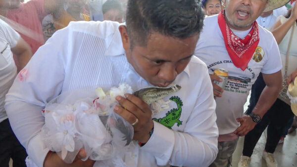 Con beso incluido: Alcalde de Oaxaca se casa con un caimán