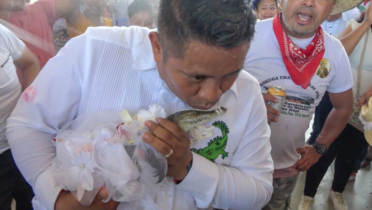 Con beso incluido: Alcalde de Oaxaca se casa con un caimán