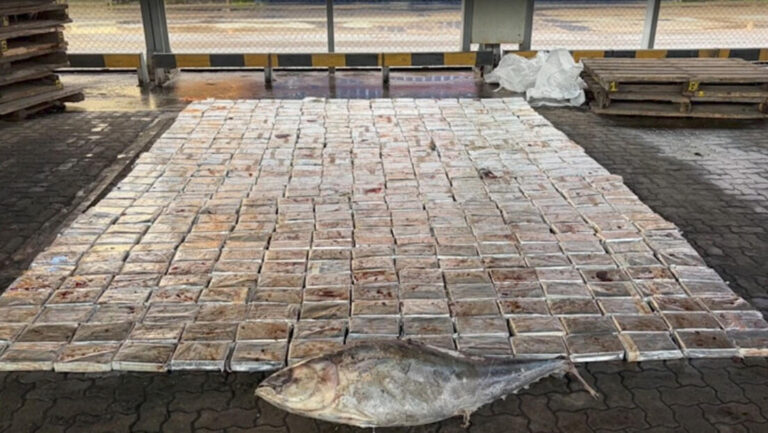 Rusia incauta media tonelada de cocaína en atún procedente de Ecuador