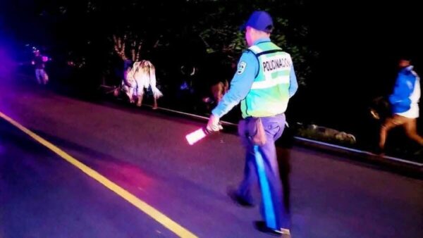 Jalapa: dueño de vacas pagará $21 mil por muerte en hotel Ilusión