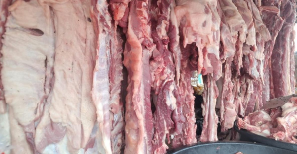 Nicaragua produce 14 millones 800 mil libras de carne de cerdo en primer semestre 2026
