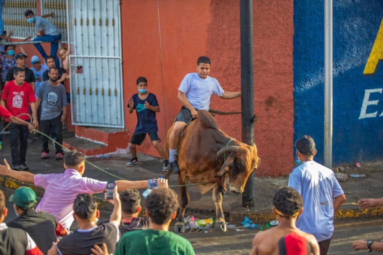 Con mucho fervor se vive Fiestas de las Vacas Tradicionales en el barrio Los Ángeles