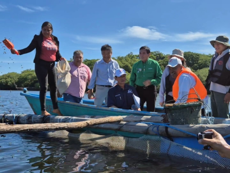 Con apoyo de Japón fortalecen producción acuícola de pargo lunarejo en La Ballona