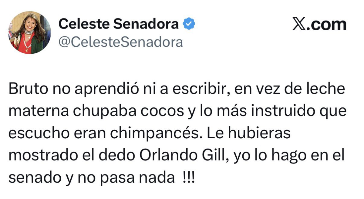 Celeste Amarilla emitió dichos discriminatorios contra la figura de “Les Bleus”