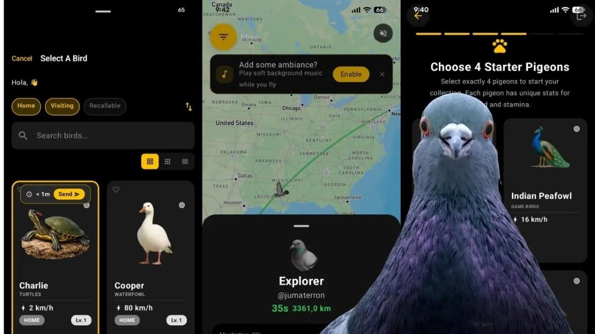 Roost, la red social donde los mensajes llegan lento