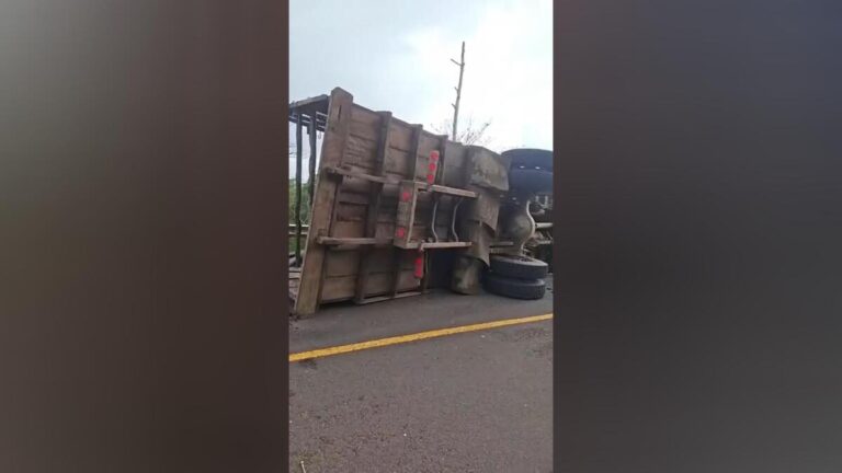 Vuelco en carretera El Ayote - Santo Domingo deja un lesionado y varias reses muertas