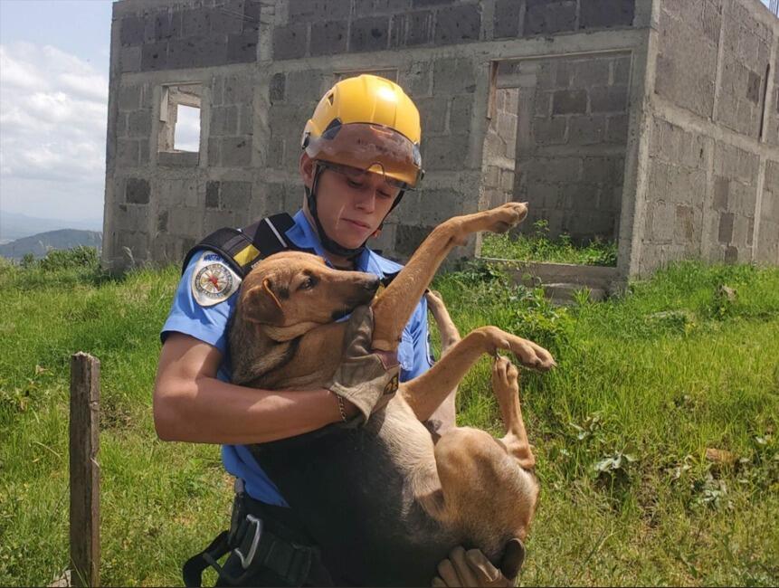 Maclovio: el perro que sobrevivió 5 días dentro de un pozo y fue rescatado por bomberos en Estelí
